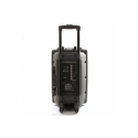 Mosna-karaoke-tonkolona-MBA-F-15E-s-vgraden-usilvatel-15-inca-s-2-bezzicni-mikrofona-i-bluetooth-mosnost-250W-wld_F-15E