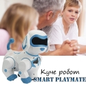 Kuce-robot-Smart-Playmate-4236