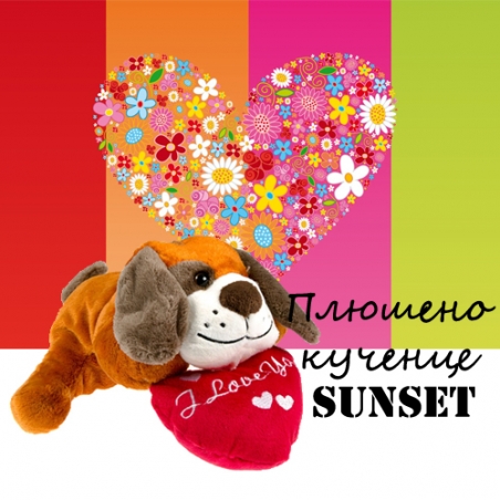 Pluseno-kucence-Sunset-3774