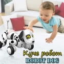 Kuce-robot-Robot-Dog-4235