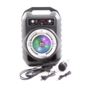 Prenosima-Bluetooth-Karaoke-tonkolona-s-mikrofon-i-cvetomuzika-CS-1-wld_CS-1