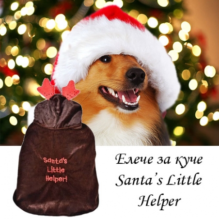 Koledno-elece-za-kuce-Santas-Little-Helper-3691