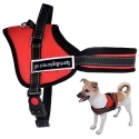 Nagrdnik-za-kuce-Sports-Dog-2944