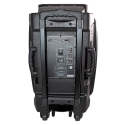 Aktivna-karaoke-tonkolona-MBA-SA-89008800-15-inca-s-dva-bezzicni-mikrofona-_SA-8900