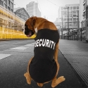 Potnik-za-kuce-Security-3163