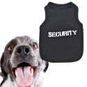 Potnik-za-kuce-Security-3163