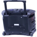 Mosna-tonkolona-200W-12-prenosima-s-LED-displej-i-dva-bezzicni-mikrofona-za-karaoke-MLDTThunder