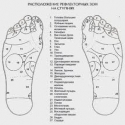 MASAZNI-CEHLI-ZA-REFLEKSOTERAPIA-Foot-Reflex