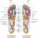 MASAZNI-CEHLI-ZA-REFLEKSOTERAPIA-Foot-Reflex