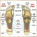 MASAZNI-CEHLI-ZA-REFLEKSOTERAPIA-Foot-Reflex