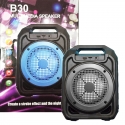 Udaro-I-Vlagoustojciva-Karaoke-Tonkolona-B30-BLUETOOTH-25W-S-MIKROFON-dzdz-5296