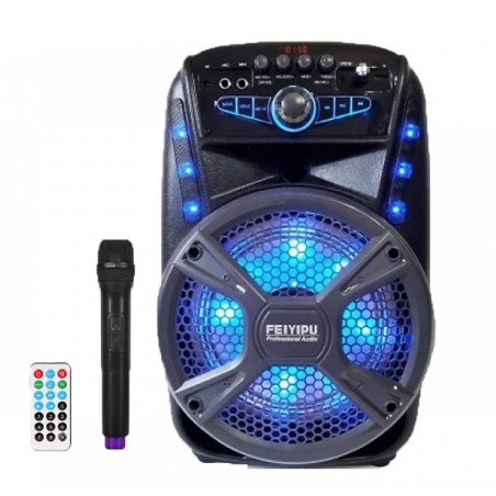 Kompaktna-aktivna-akumulatorna-karaoke-sistema-FEIYIPU-ES-81-8-inch-300W-max-1-mikrofon-5178