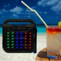 Mosna-udaro-i-vlagoustojciva-karaoke-tonkolona-BS18-BLUETOOTH-25W-4401