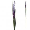 Strk-lavandula-70-sm-1136499