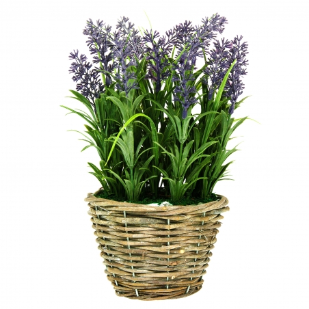 Saksia-lavandula-30-sm-1147950