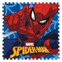 Postelka-pzel-SPIDERMAN-9-casti-1185974