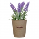 Saksia-lavandula-20-sm-1155444