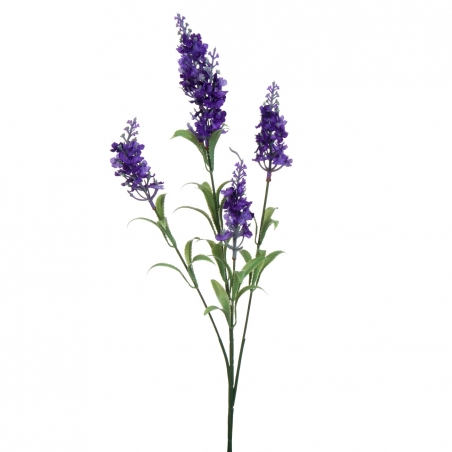 Klonce-Lavandula-72-sm-1159468