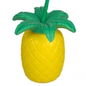 Plastmasova-casa-kapak-slamka-ananas-700-ml-1173714