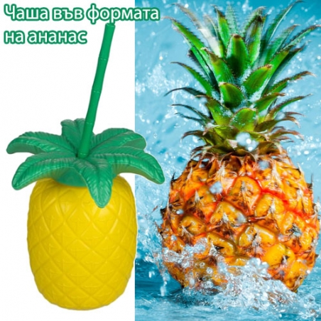 Casa-vv-formata-na-ananas-5763