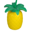 Casa-vv-formata-na-ananas-5763