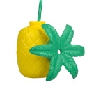 Casa-vv-formata-na-ananas-5763