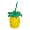 Casa-vv-formata-na-ananas-5763