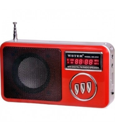 Преносима уредба с USB/MP3/РАДИО/КАРТА ПАМЕТ - WS-258