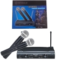 Sistema-za-karaoke-s-dva-bezzicni-mikrofona-priemnik-WG58II-3802