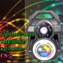 Prenosima-karaoke-kolona-CS-2-4297