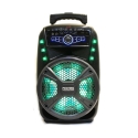 Prenosima-akumulatorna-karaoke-tonkolona-FEIYIPU-Professional-Audio-ES-81-s-mikrofon-3577