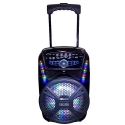 Prenosima-akumulatorna-karaoke-tonkolona-FEIYIPU-Professional-Audio-ES-81-s-mikrofon-3577